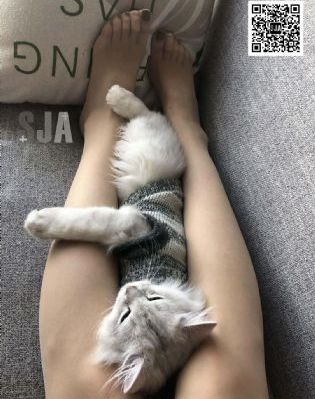 致亲爱的你 电影_720免费观看超清